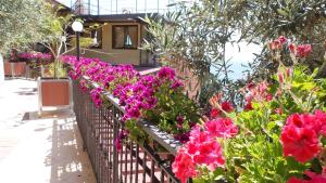 Villa Arianna B&B
