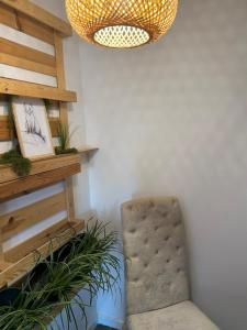 Żabi apartament