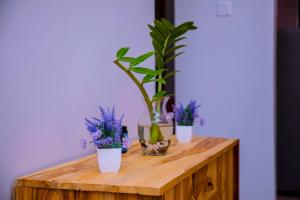 ExtraMile Apartments - 2BR