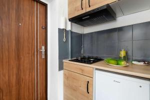 Comfortable Pet-Friendly Studio with a Desk by Noclegi Renters