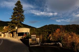 Soma Landscape Suites