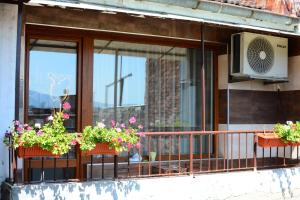 Jazzy Sofia Downtown Apartment