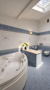 FLORIANSKA Penthouse DeLux
