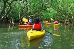 Ecokayak Beach Lodge
