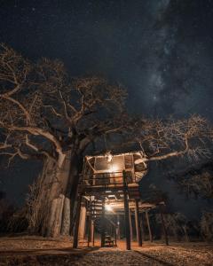 Tarangire Treetops