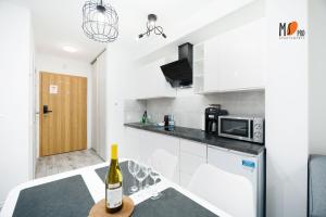MSPro K17 Mountain and City Apartment