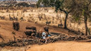 Tarangire Treetops