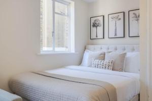 Comfortable Studio Close to Hyde Park