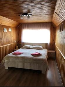 HOUSE Mold