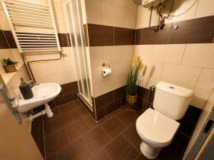 Old Town Loft 11 - Stay Olomouc CZ