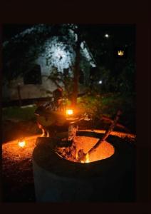 Karibu Cottages and Safari