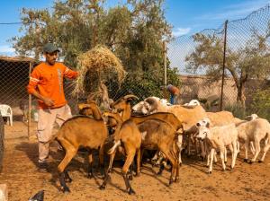 Eco Farm Tayssir Marrakech