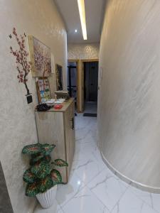 Comfortable family apartment