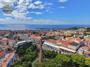 Funchal petrolhead apartment