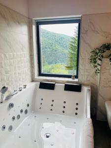 Stone Room with jacuzzi Sinaia