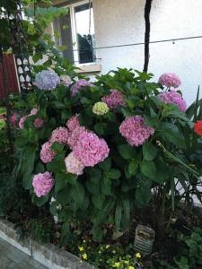 Къща Йорданови