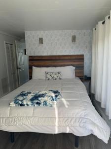 Beach Bum Bungalow