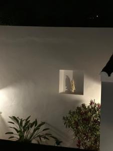casa é vida