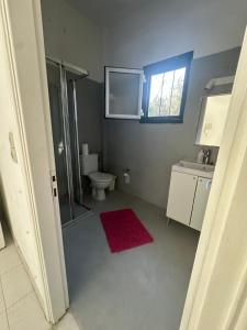 Olive terra holiday aparments