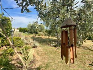 Dante Country House - Casa con Piscina Privata e Jacuzzi tra Firenze e Chianti