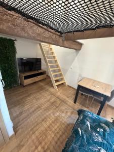 Studio atypique avec filet suspendu & mezzanine