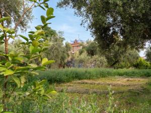 Eco Farm Tayssir Marrakech
