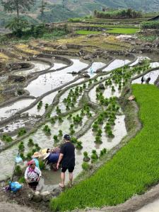Ying Charm Homestay Valley View