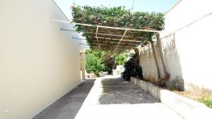 ALBERO DI ANTONIA ROOM, by Salento Affitti