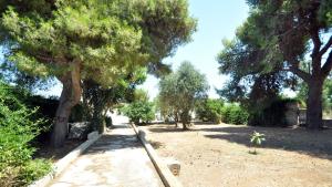 ALBERO DI ANTONIA ROOM, by Salento Affitti