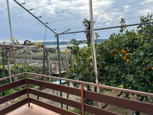 Apartmani Lucija