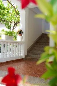 Villa Alex G