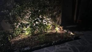 La Casa di Olinto e Teresa