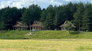 Karma Camp