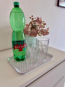 STUDIO with Free Gym & WiFi, Easy Prague Center Access , Self Check In