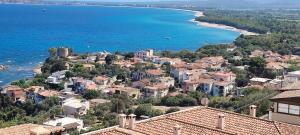 Blu Navarrese 2