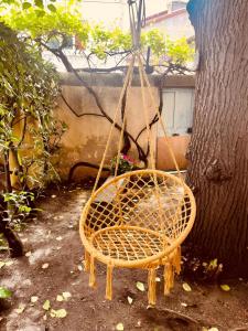 Auprès de mon arbre