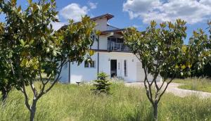DreamStay Lezha