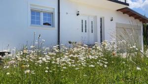 DreamStay Lezha