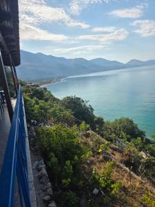 Anastasia rooms to rent