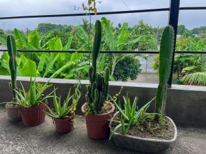 Suite completa con jardin y parqueo privado