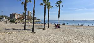 APTO JOEL A 50 mtr. DE LA PLAYA