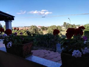 casa orchidea