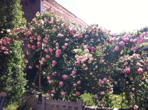 B&B / Chambres d'hotes Mas de Bouvet en Camargue : photos des chambres