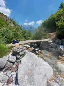Avdi kola guesthouse