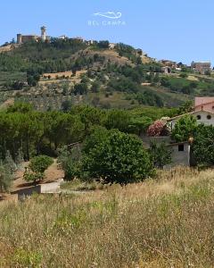 Bel campà - B&B VEGANO IN CAMPAGNA