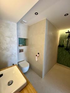 Hasdeu elegant apartment with pool
