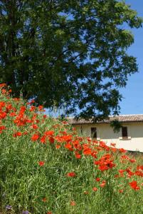 La Perticara Agriturismo