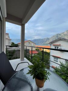 Apartman Knez