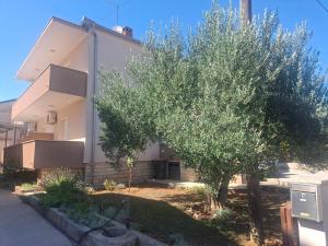 Marko i Teo Apartments