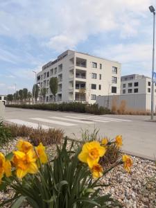 Panoráma apartman
